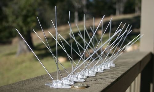 Hrotová ochrana proti ptákům